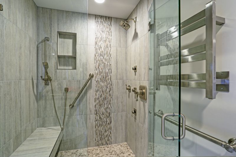 Sleek Shower with Built-in Niche